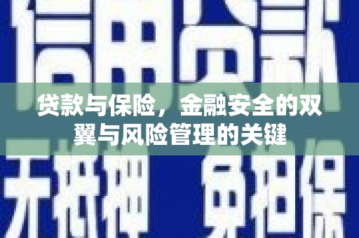 外埔贷款与保险，金融安全的双翼与风险管理的关键