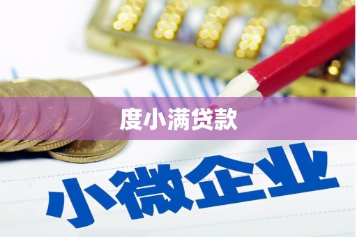 达仁度小满贷款
