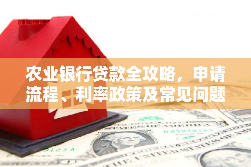 金秀农业银行贷款全攻略，申请流程、利率政策及常见问题解析