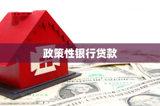 洋县政策性银行贷款