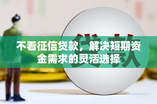 七星不看征信贷款，解决短期资金需求的灵活选择