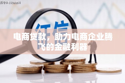 溪口电商贷款，助力电商企业腾飞的金融利器