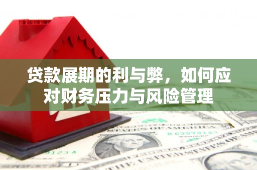 官田贷款展期的利与弊，如何应对财务压力与风险管理