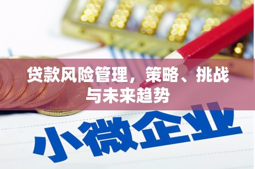 旬阳贷款风险管理，策略、挑战与未来趋势