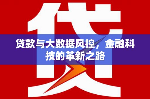 天津贷款与大数据风控，金融科技的革新之路