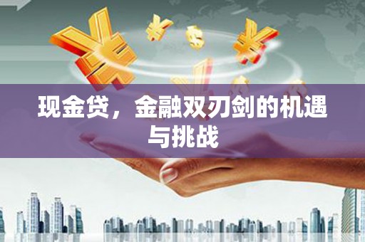 岱岳现金贷，金融双刃剑的机遇与挑战