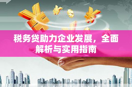 官渡税务贷助力企业发展，全面解析与实用指南