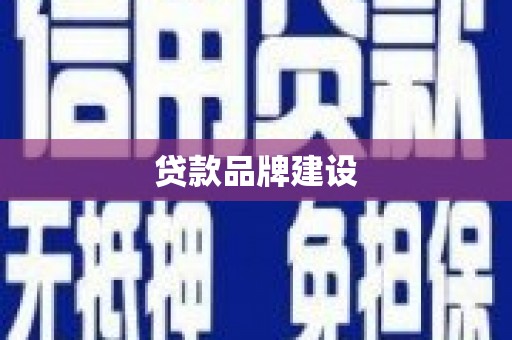 坪山新区贷款品牌建设