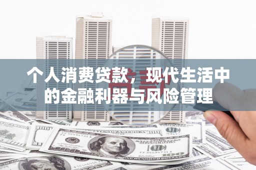紫阳个人消费贷款，现代生活中的金融利器与风险管理
