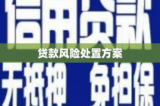 沈北新区贷款风险处置方案