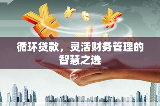 焉耆循环贷款，灵活财务管理的智慧之选