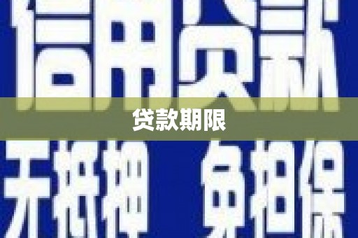 阜沙贷款期限