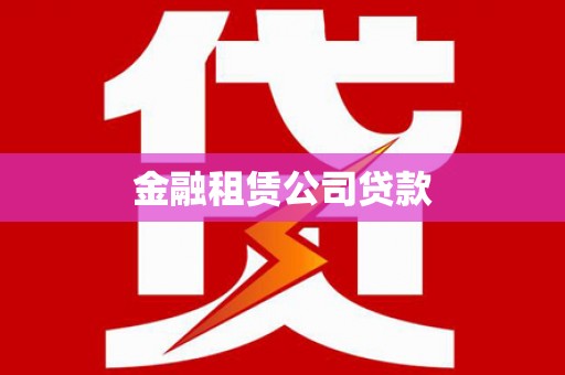 新田金融租赁公司贷款