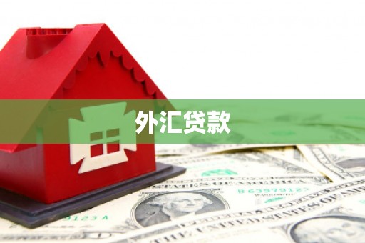 临翔外汇贷款