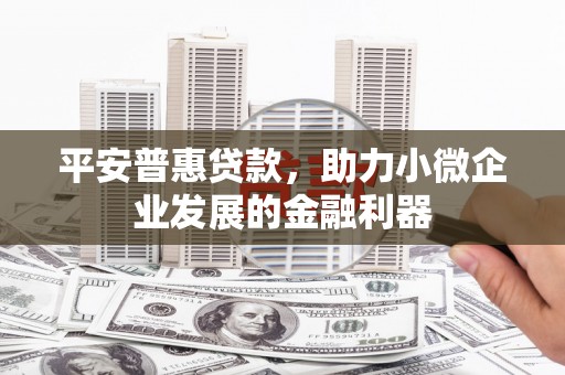 中正平安普惠贷款，助力小微企业发展的金融利器