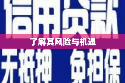 罗城了解其风险与机遇