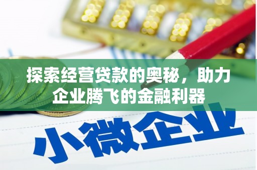 安化探索经营贷款的奥秘，助力企业腾飞的金融利器