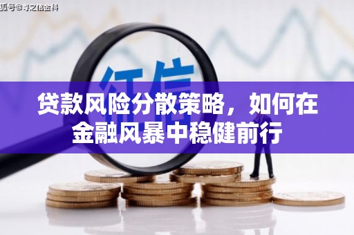 瑞芳贷款风险分散策略，如何在金融风暴中稳健前行