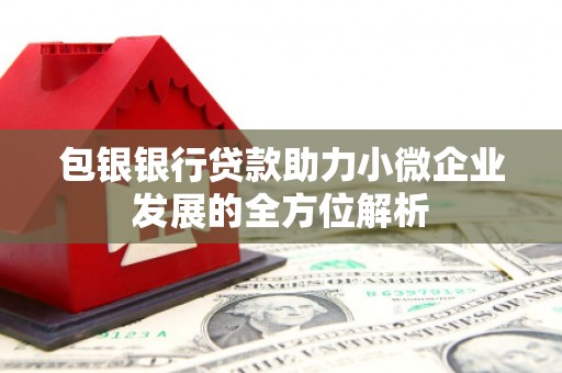 浔阳包银银行贷款助力小微企业发展的全方位解析 浔阳包银银行贷款助力小微企业发展的全方位解析