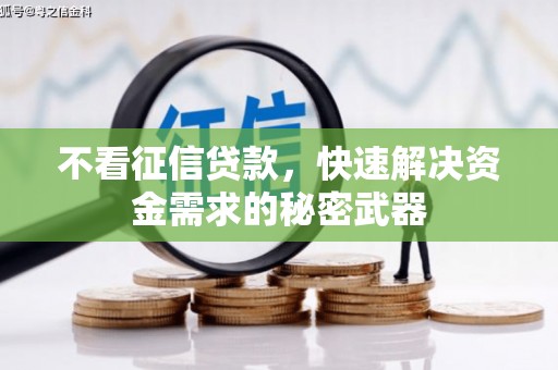 琅琊不看征信贷款，快速解决资金需求的秘密武器
