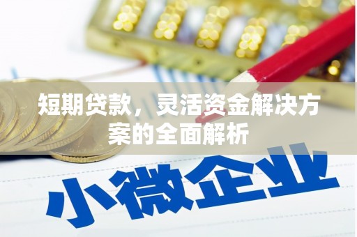 鹿泉短期贷款，灵活资金解决方案的全面解析