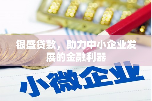 湖里银盛贷款，助力中小企业发展的金融利器