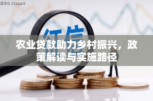 保税区农业贷款助力乡村振兴，政策解读与实施路径