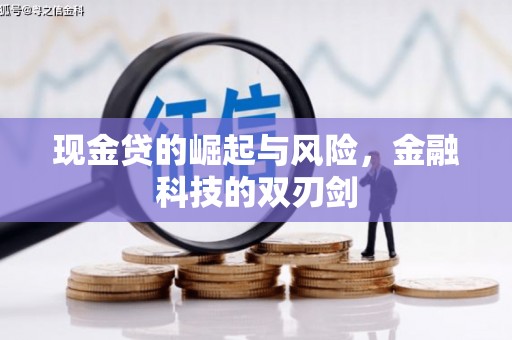 温宿现金贷的崛起与风险，金融科技的双刃剑
