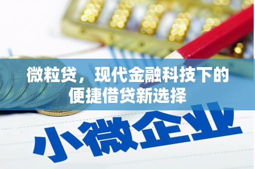 阿里山微粒贷，现代金融科技下的便捷借贷新选择
