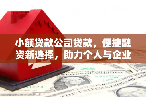 秦安小额贷款公司贷款，便捷融资新选择，助力个人与企业成长