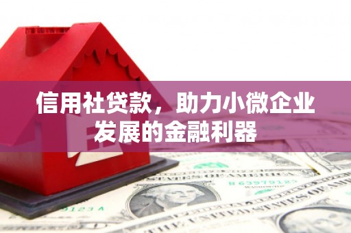 宁夏信用社贷款，助力小微企业发展的金融利器