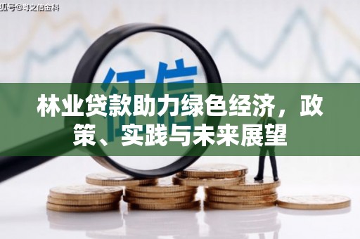积石山林业贷款助力绿色经济，政策、实践与未来展望