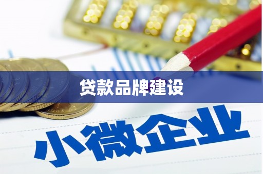 合山贷款品牌建设
