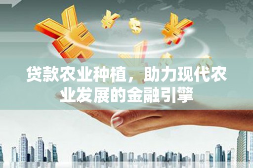 睢宁贷款农业种植，助力现代农业发展的金融引擎