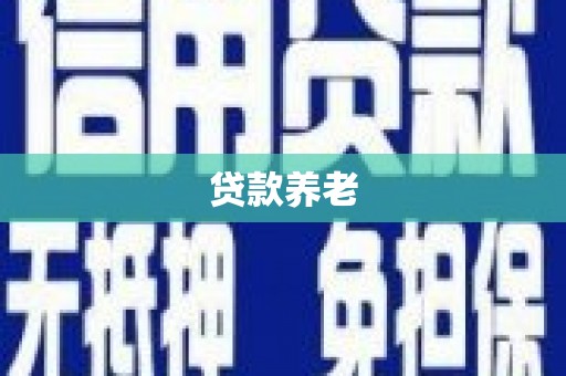 乳源贷款养老