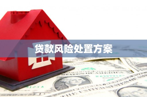 大英贷款风险处置方案