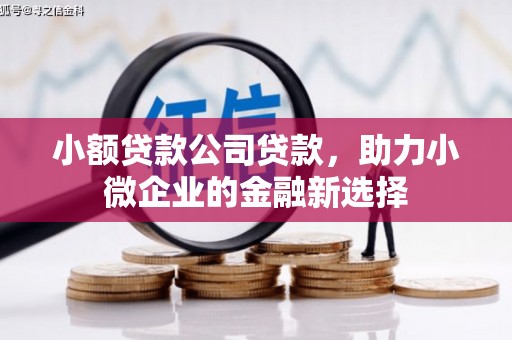 梁河小额贷款公司贷款，助力小微企业的金融新选择