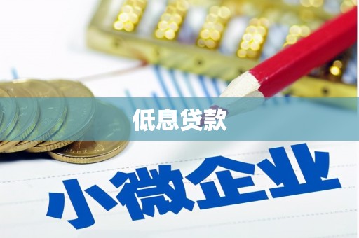 雁塔低息贷款