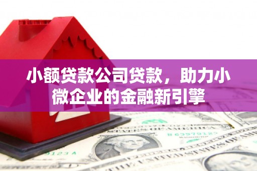 三穗小额贷款公司贷款，助力小微企业的金融新引擎