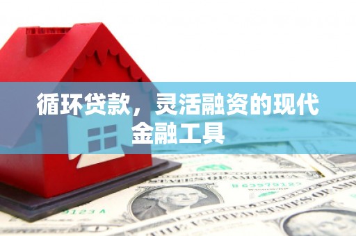黄陂循环贷款，灵活融资的现代金融工具