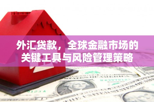 高碑店外汇贷款，全球金融市场的关键工具与风险管理策略