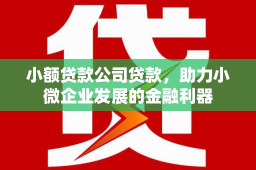 北塘小额贷款公司贷款，助力小微企业发展的金融利器