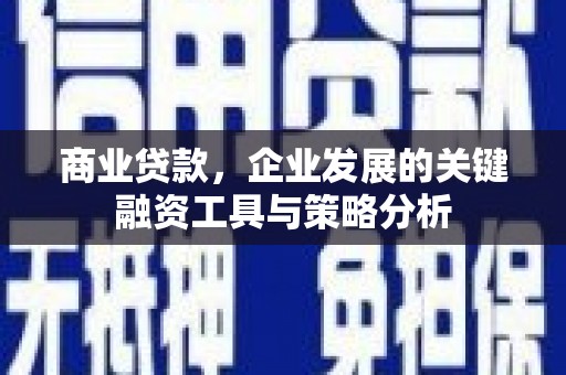 代县商业贷款，企业发展的关键融资工具与策略分析