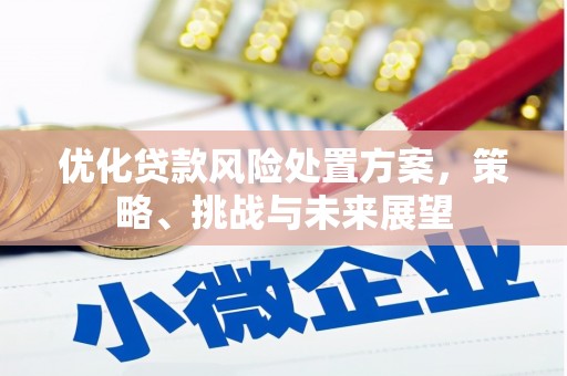 广东优化贷款风险处置方案，策略、挑战与未来展望