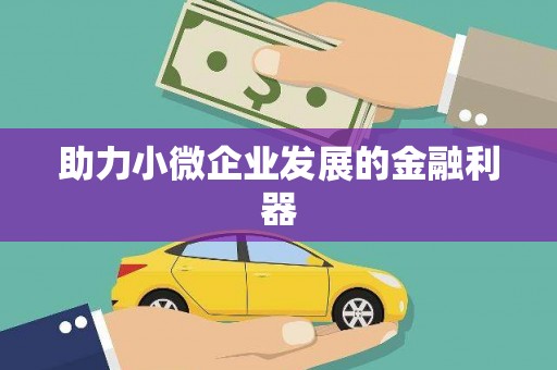潜山助力小微企业发展的金融利器