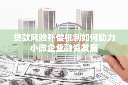 龙文贷款风险补偿机制如何助力小微企业融资发展