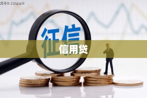 邵阳县信用贷