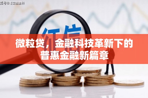 伊春微粒贷，金融科技革新下的普惠金融新篇章