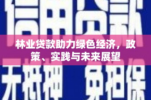 六安林业贷款助力绿色经济，政策、实践与未来展望