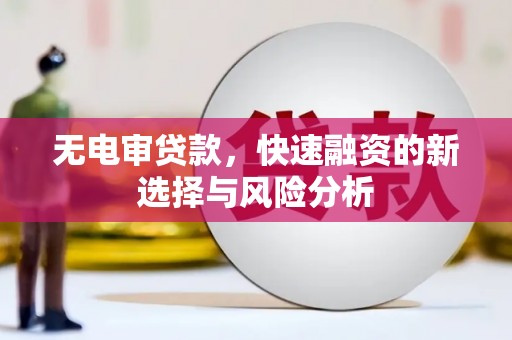 大寮无电审贷款，快速融资的新选择与风险分析